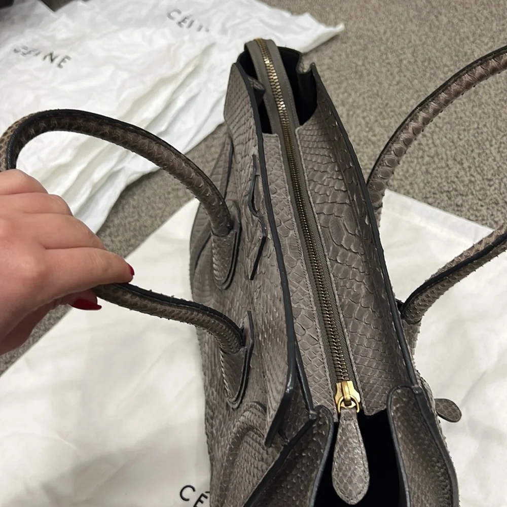 Celine Bag, Size Medium, Python Skin - Picture 4 of 13